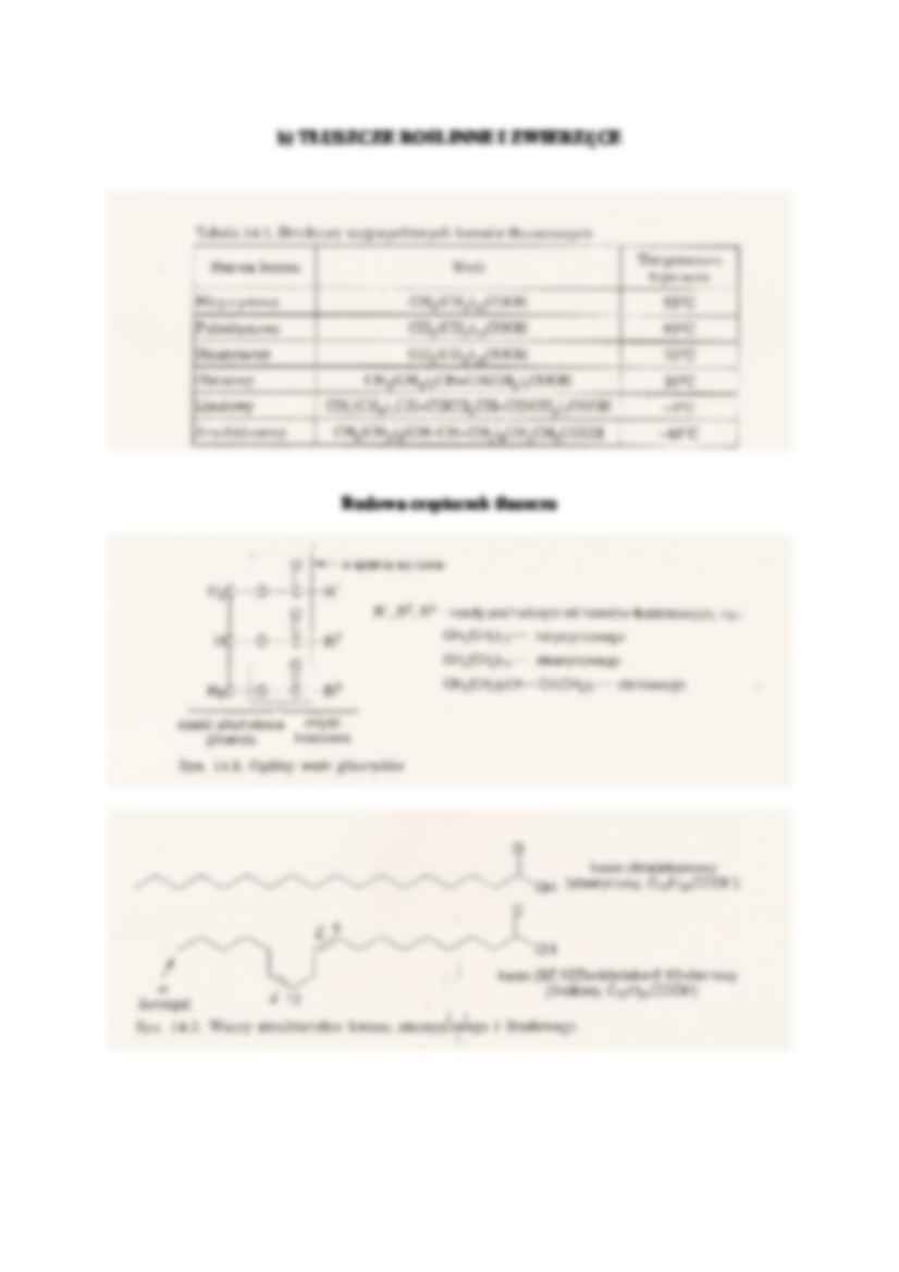 Biocząsteczki - wykład - strona 2