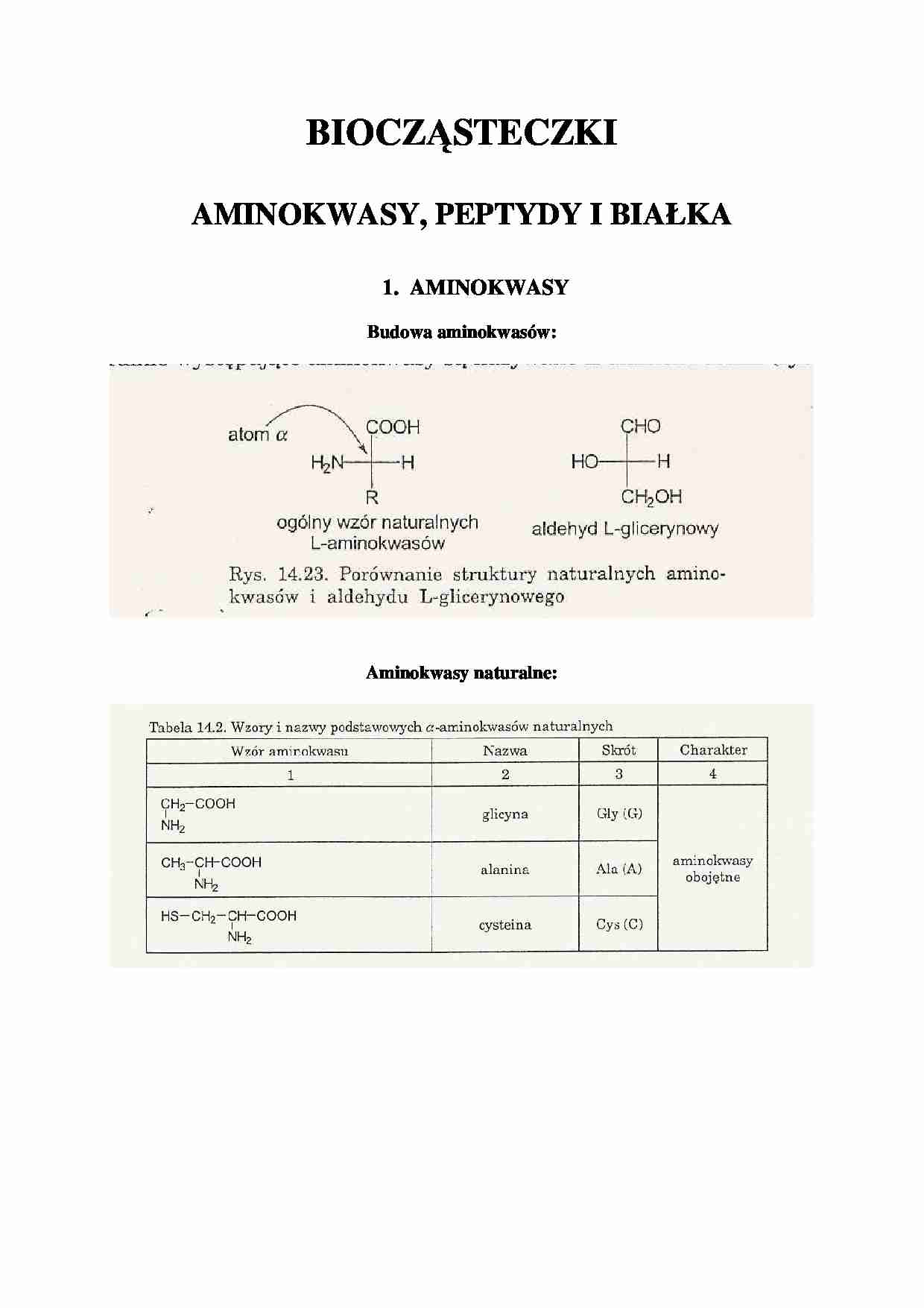 Aminokwasy, peptydy i białka - wykład - strona 1