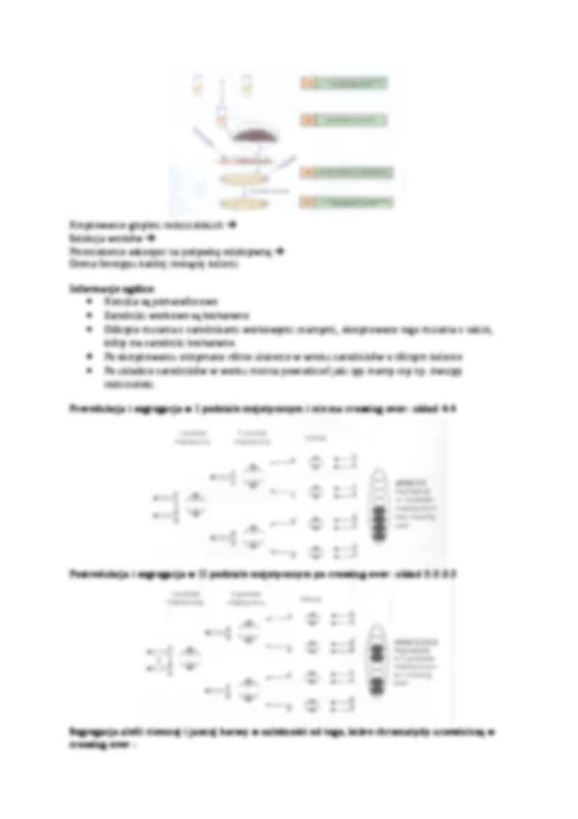  Genetyka klasyczna u Neurospora - omówienie - strona 3