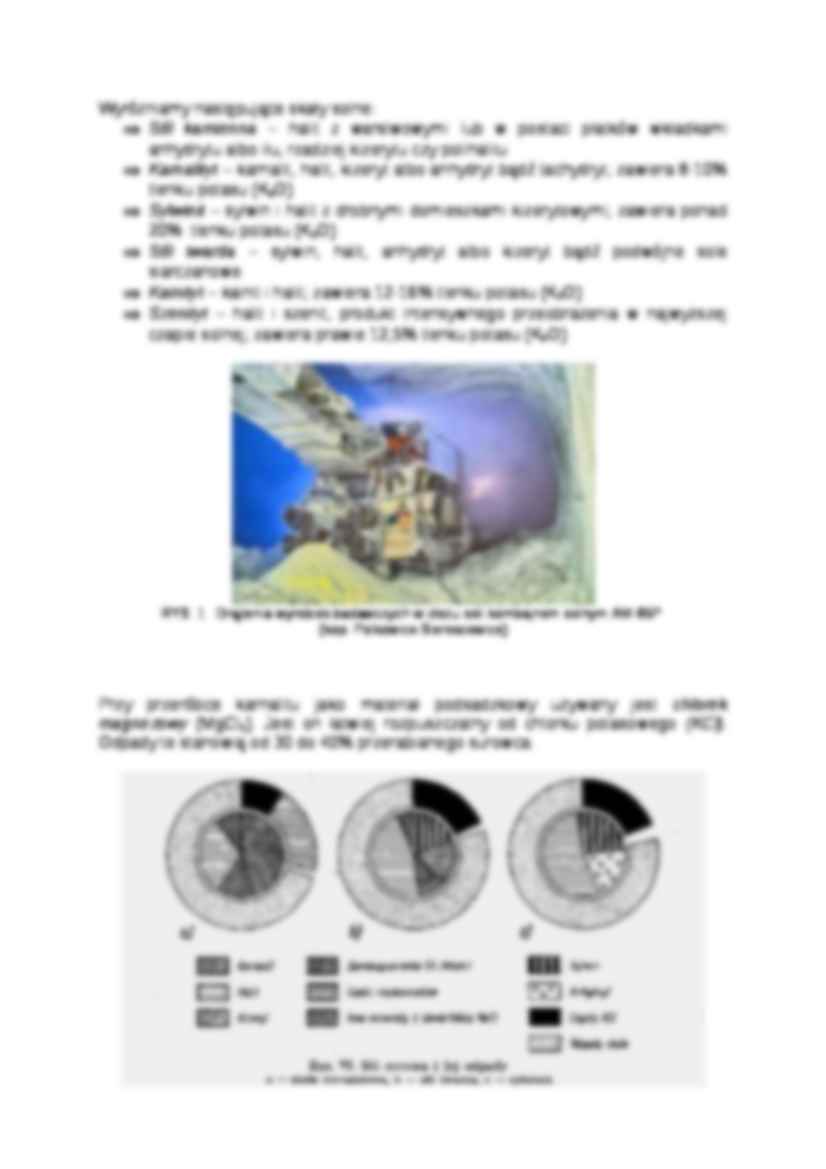 Charakterystyka odpadów z eksploatacji i przeróbki soli - strona 2
