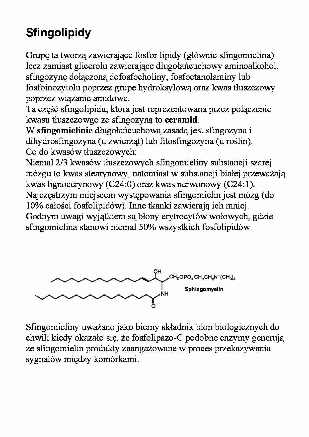 Lipidy - sfingolipidy - strona 1