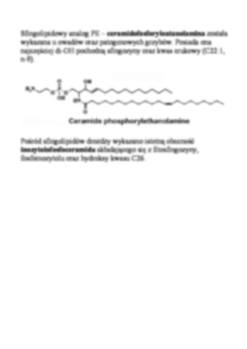 Lipidy - sfingolipidy - strona 2