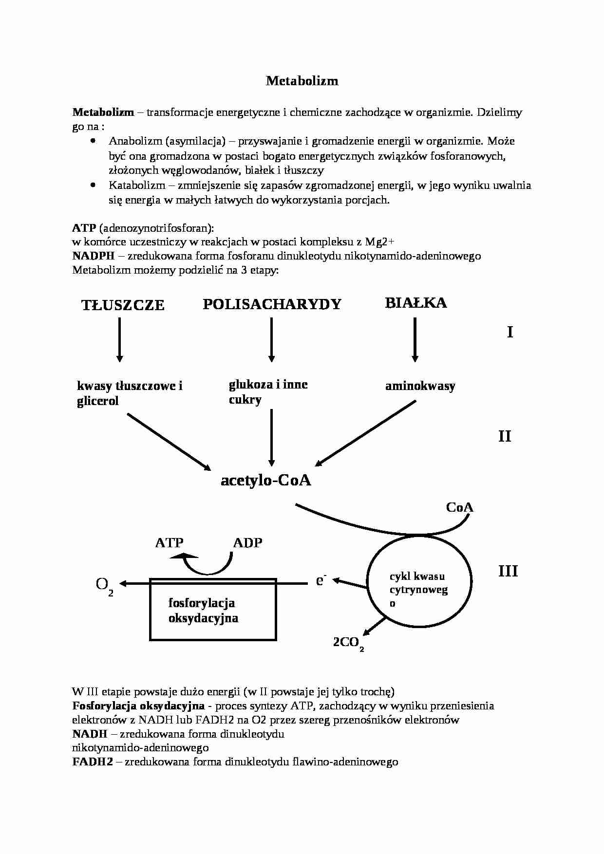 Metabolizm - Anabolizm - strona 1