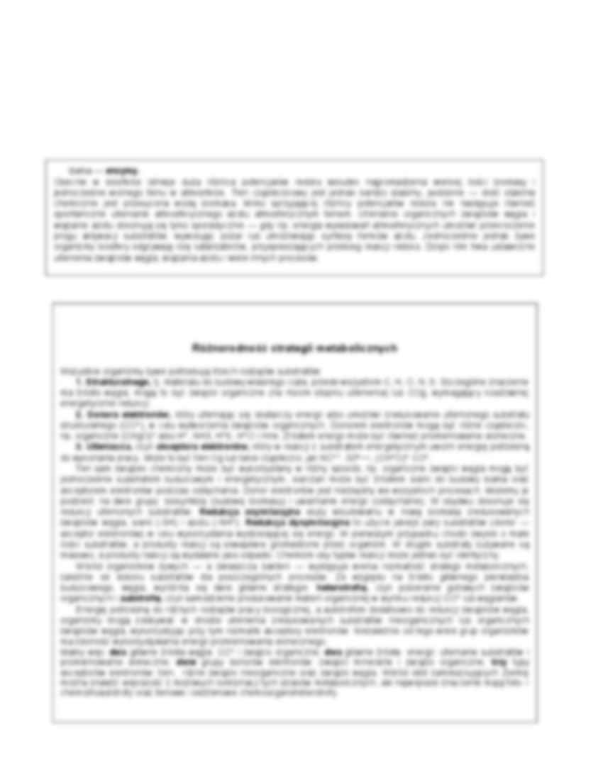   Metabolizm biosfery - omówienie - strona 3