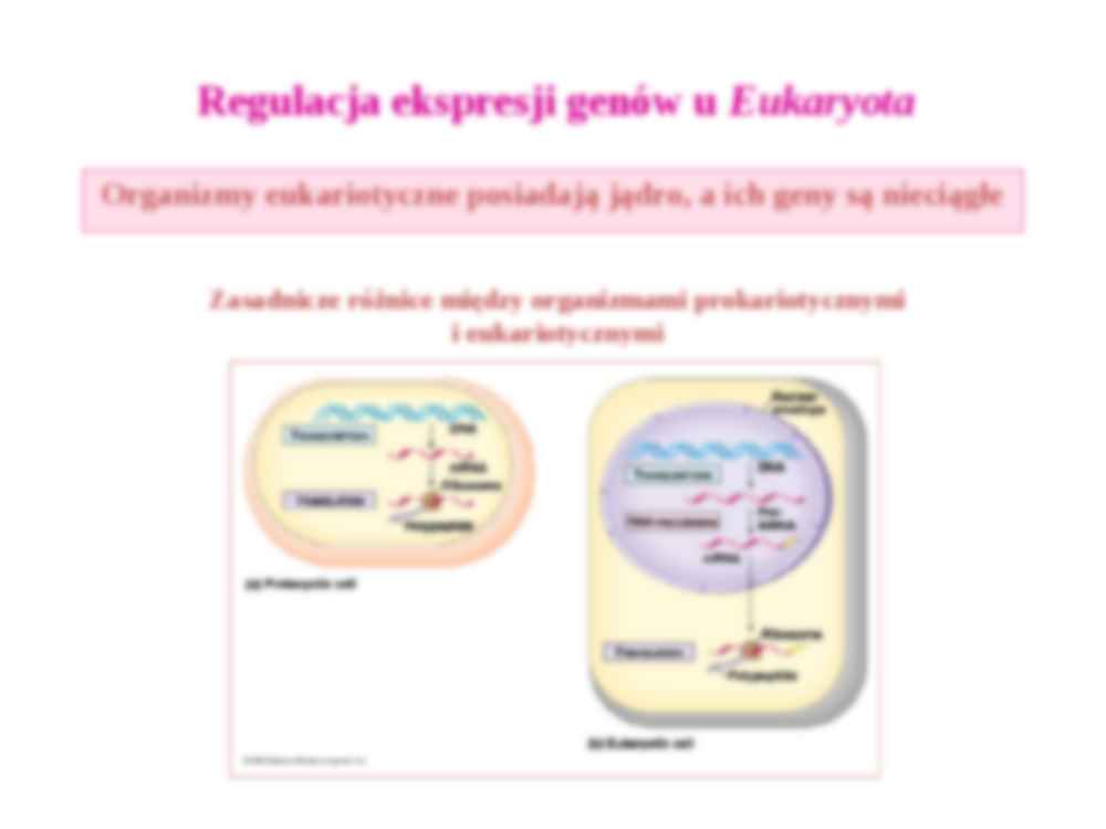 Regulacja ekspresji genów II - strona 2