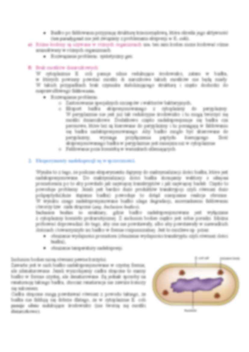 Inżynieria genetyczna- wykład 12 - strona 2