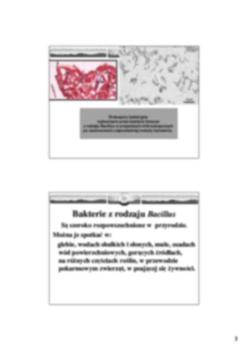  Inne bakterie w procesach biotechnologicznych oraz w biodegradacji rozmaitych związków- wykład 25 - strona 3
