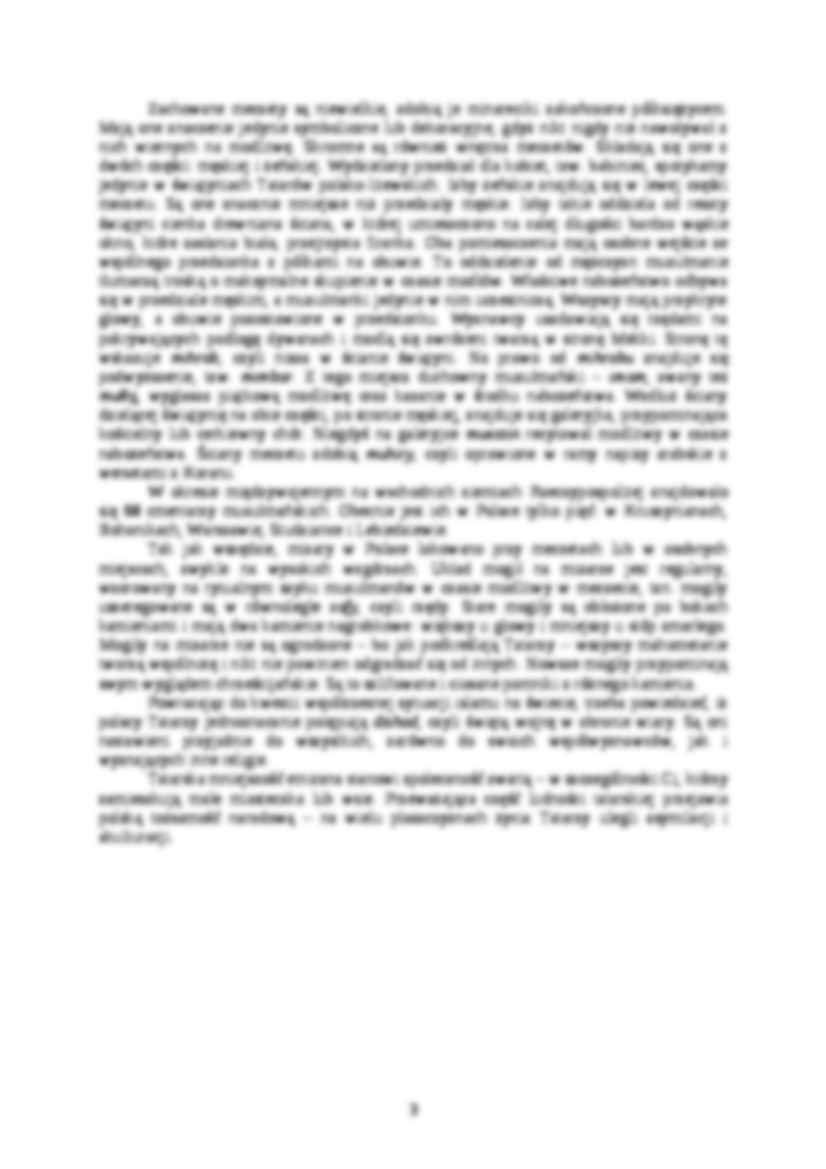 Tatarzy - referat - strona 3