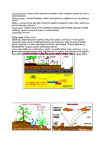 Ekologia, gleba - opracowanie