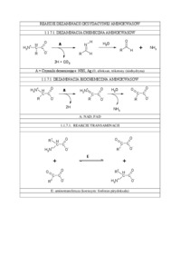 Reakcje dezaminacji oksydacyjnej aminokwasów - wykład