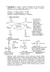 Katabolizm aminokwasów-opracowanie