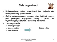 Cele organizacji - Cele kierunkowe