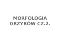 Morfologia grzybow