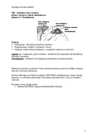 Mechanoreceptory, termoreceptory i nocyceptory