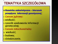komorka-eukariotyczna-genetyka