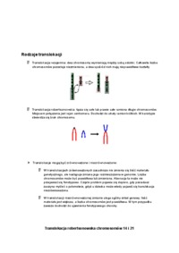 Referat o aberacjach chromosomowych