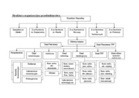 Struktura organizacyjna przedsiębiorstwa - schemat.