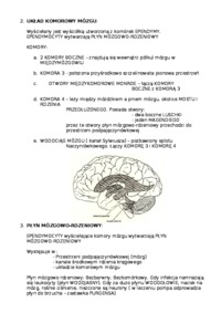 neuropsychologia-skrypt