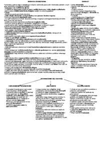 Podział systematów gadów - schemat
