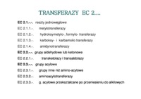 Transferazy- prezentacja