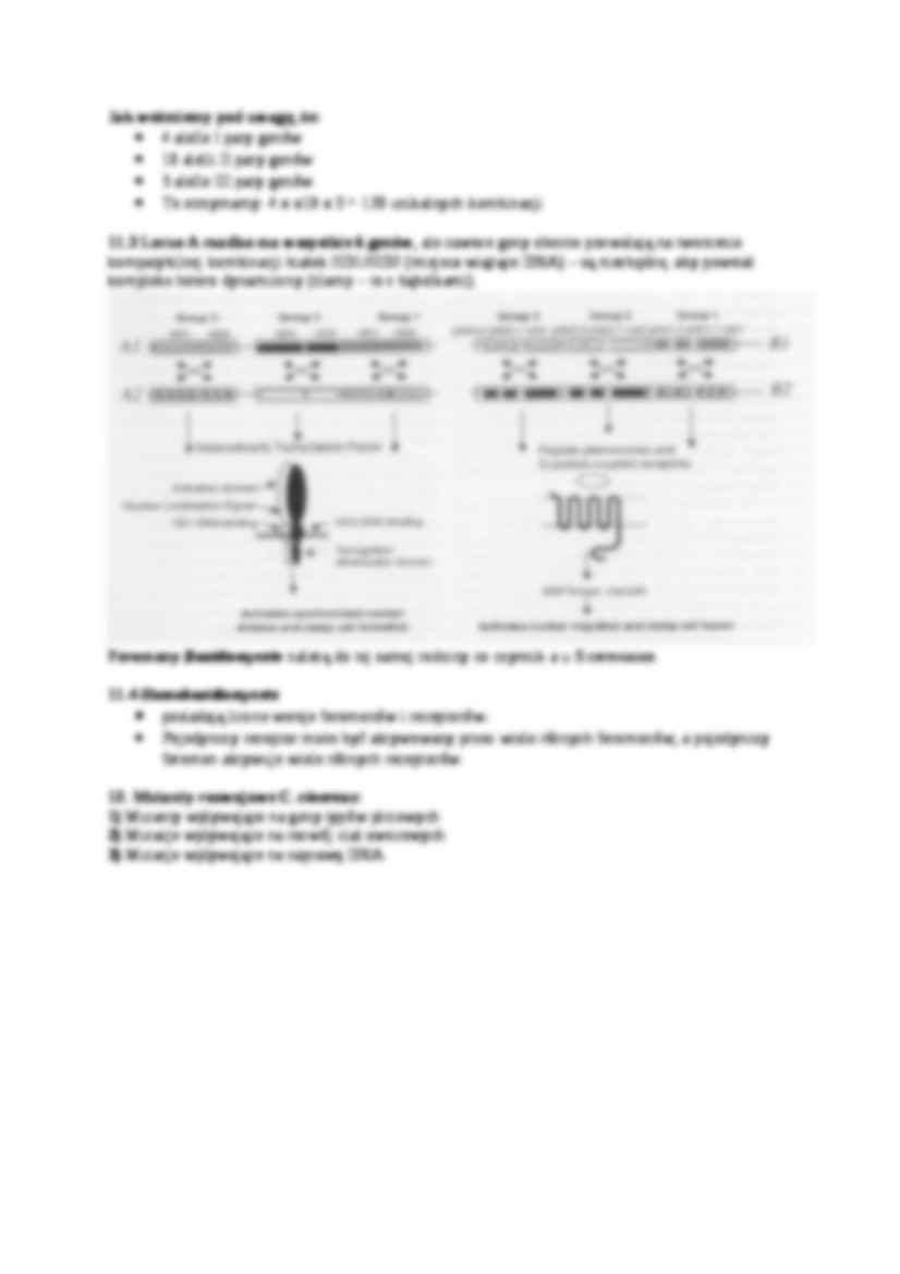 Genetyka grzybów, Analiza tetrad - omówienie - strona 2