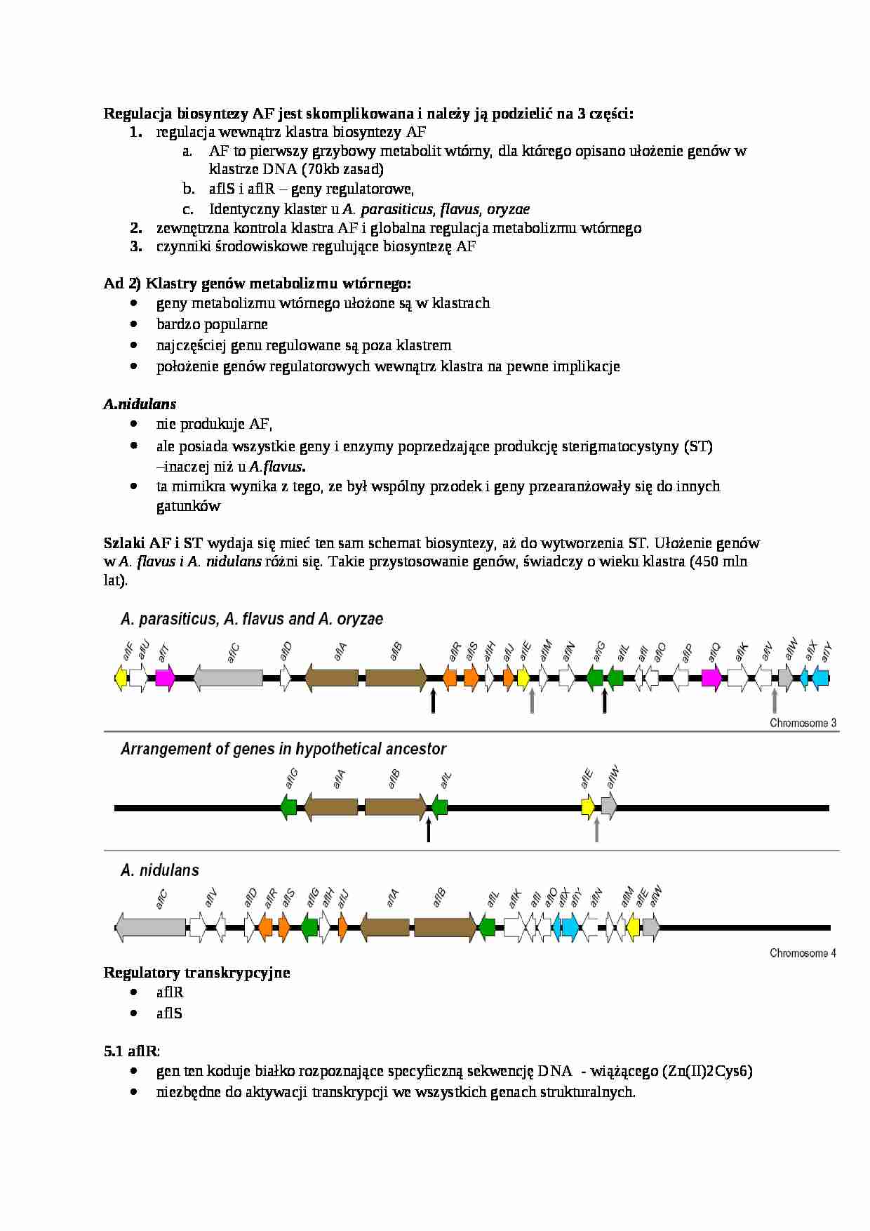 Genetyka grzybów, Regulacja biosyntezy - omówienie - strona 1