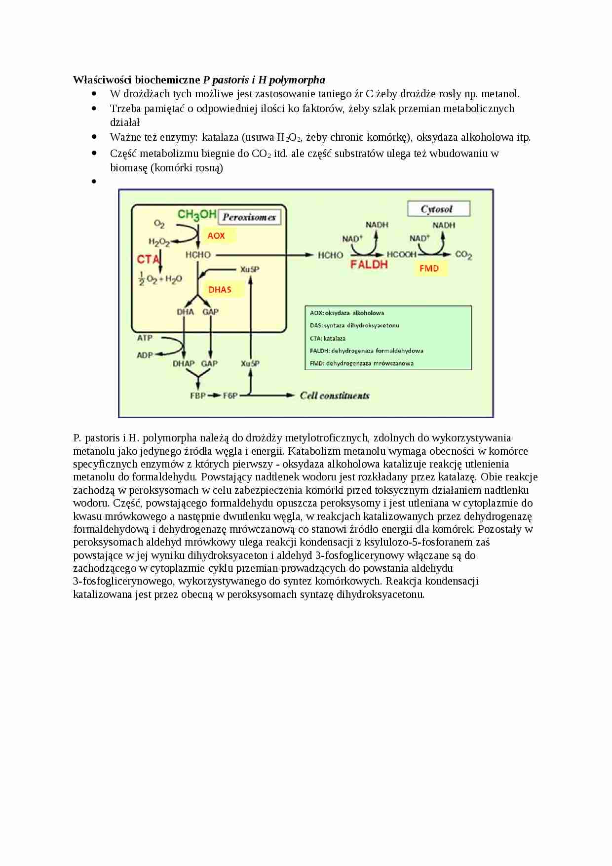 Genetyka grzybów, Właściwości biochemiczne P pastoris i H polymorpha - omówienie - strona 1