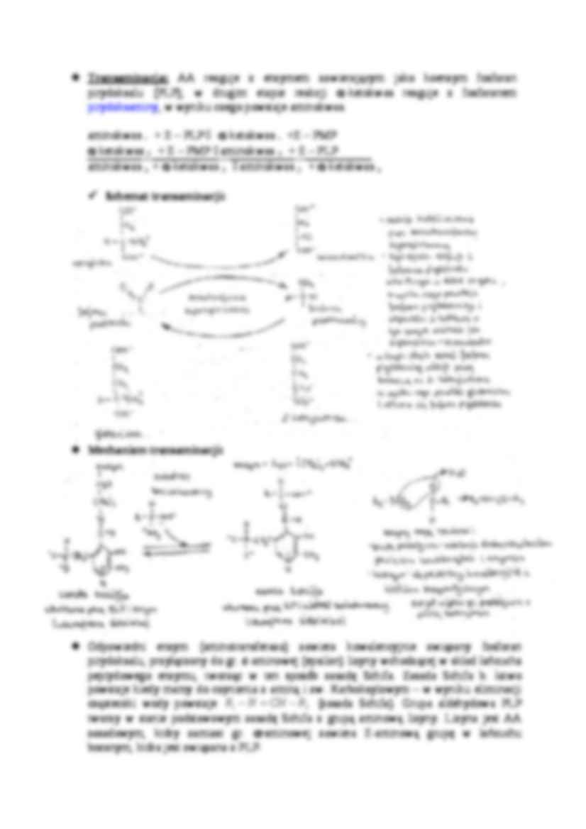 Katabolizm aminokwasów-opracowanie - strona 2