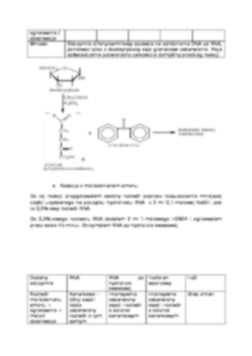 Otrzymywanie i badanie hydrolizatu RNA z drożdży-opracowanie - strona 3