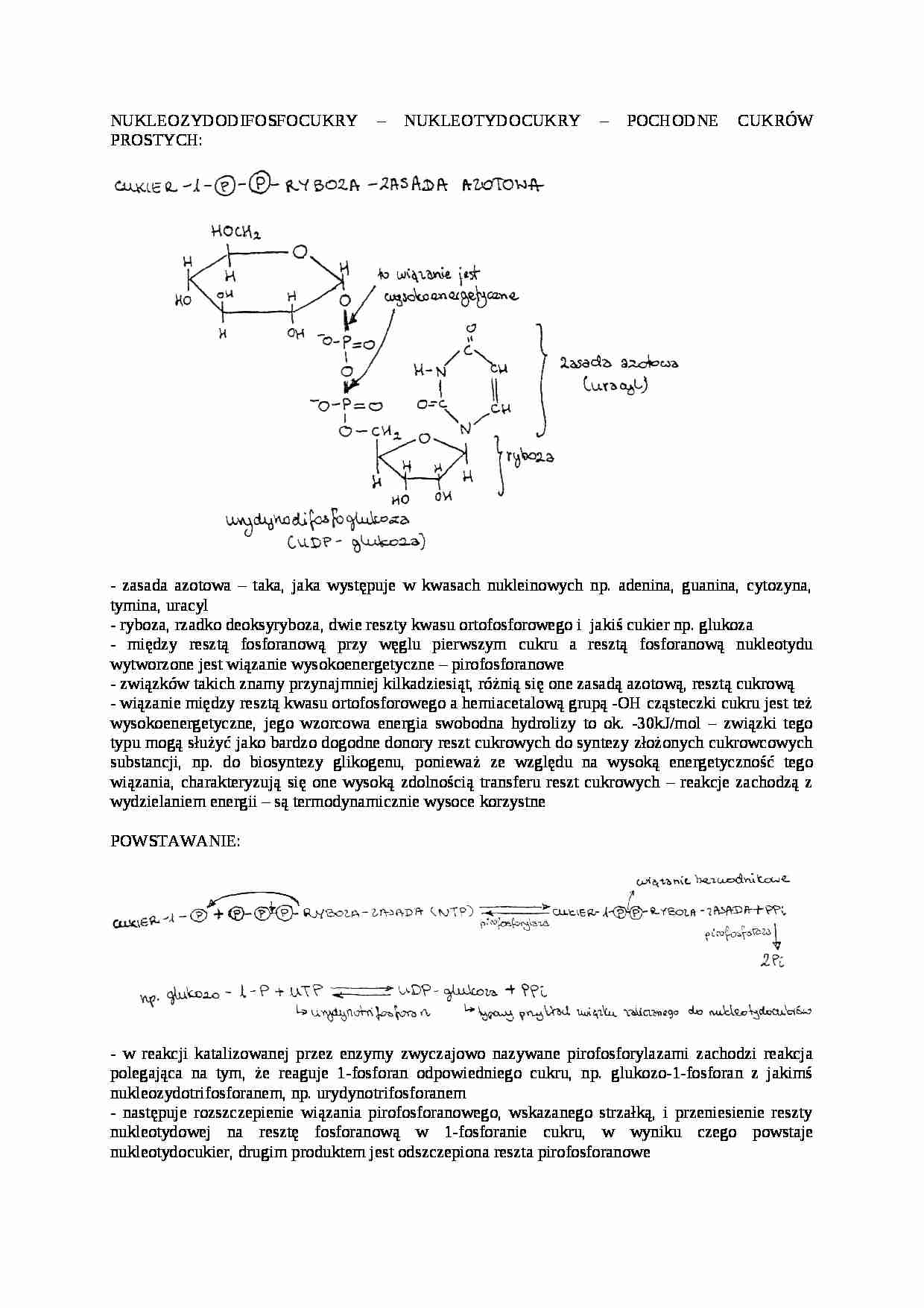 Nuklozydodifosfocukry-opracowanie - strona 1