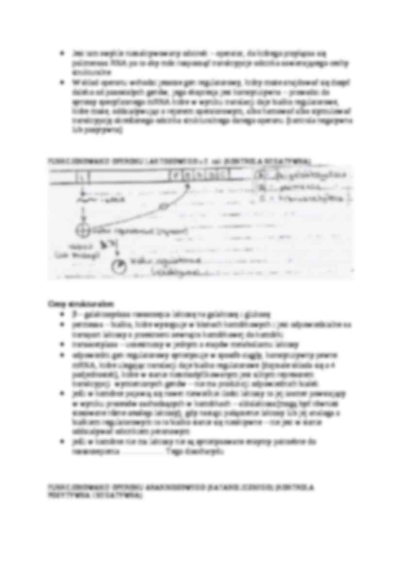 Regulacja aktywności enzymu reakcji AB-opracowanie - strona 2