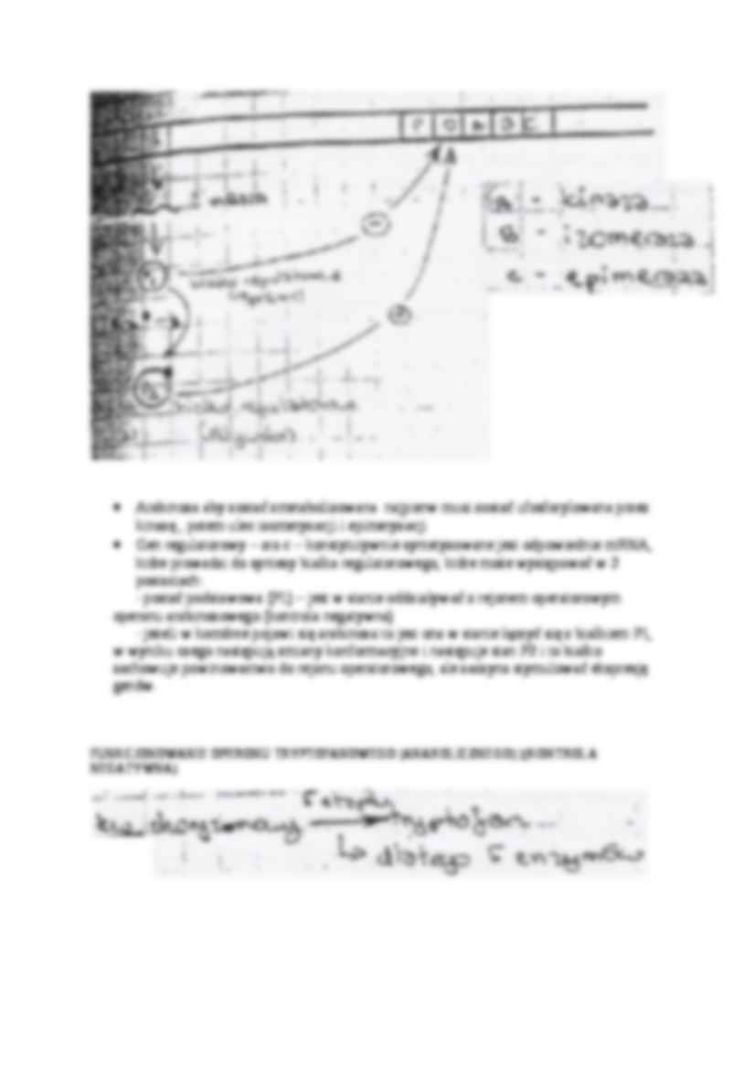 Regulacja aktywności enzymu reakcji AB-opracowanie - strona 3
