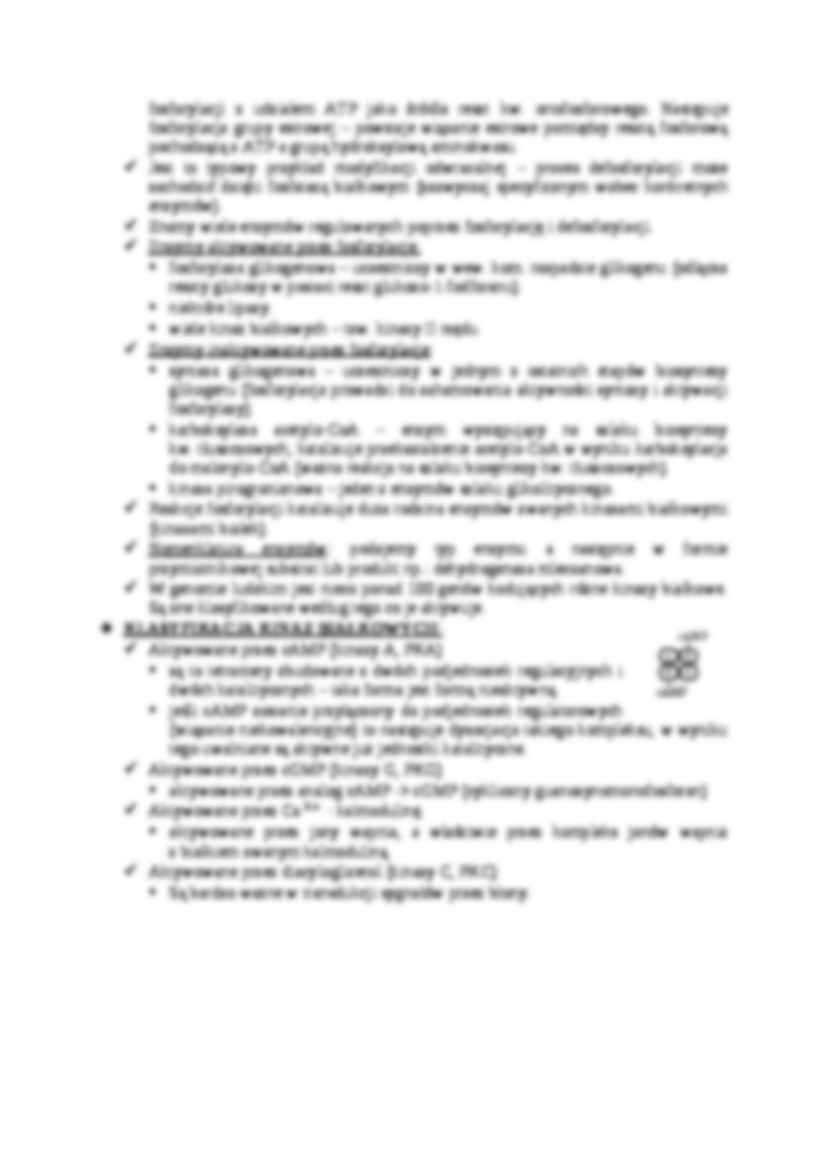 Regulacja aktywności specyficznej enzymu-opracowanie - strona 2