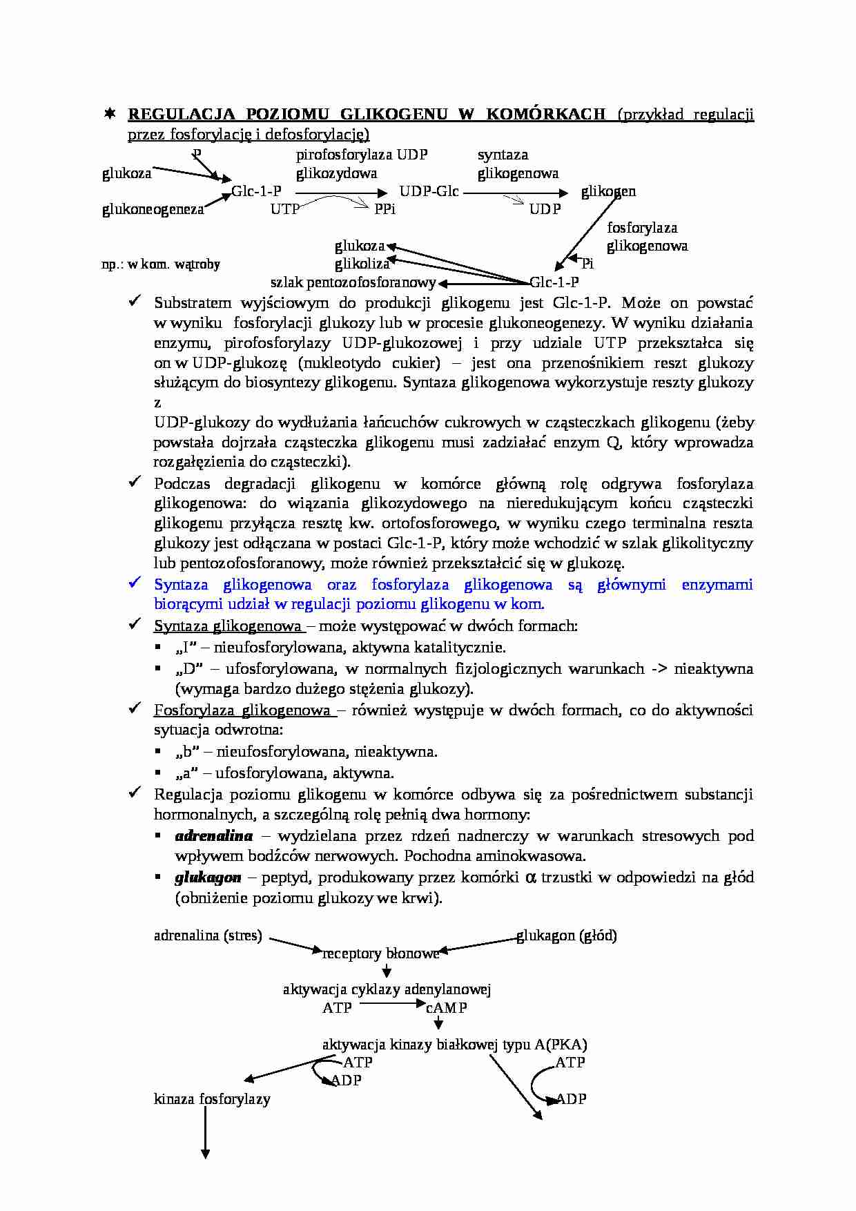 Regulacja poziomu glikogenu w komórkach-opracowanie - strona 1