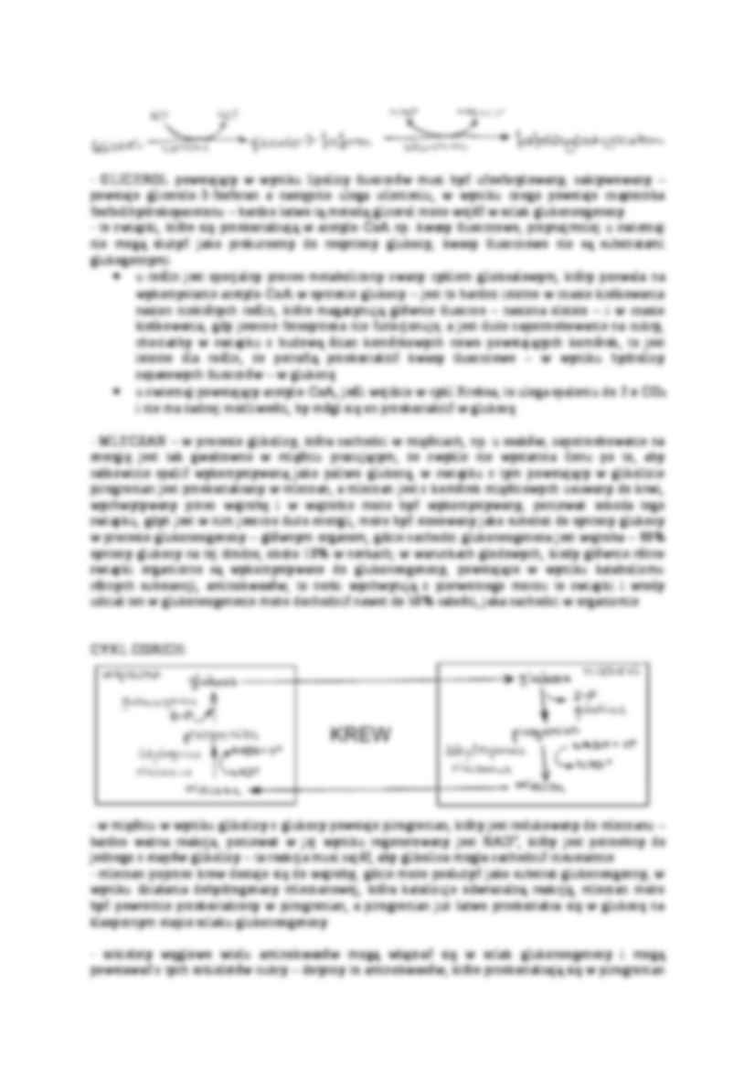 Szlak glukoneogenezy-opracowanie - strona 2