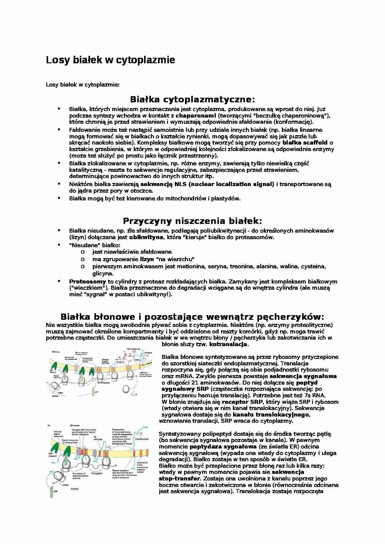 Losy białek w cytoplazmie-opracowanie - strona 1