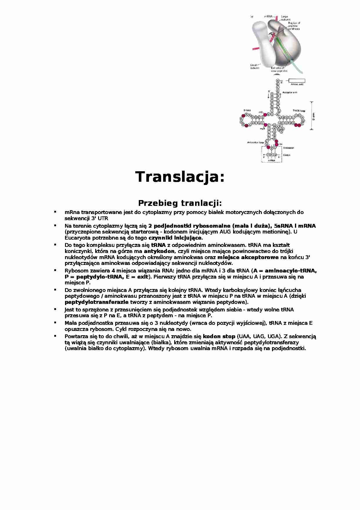 Translacja-opracowanie - strona 1