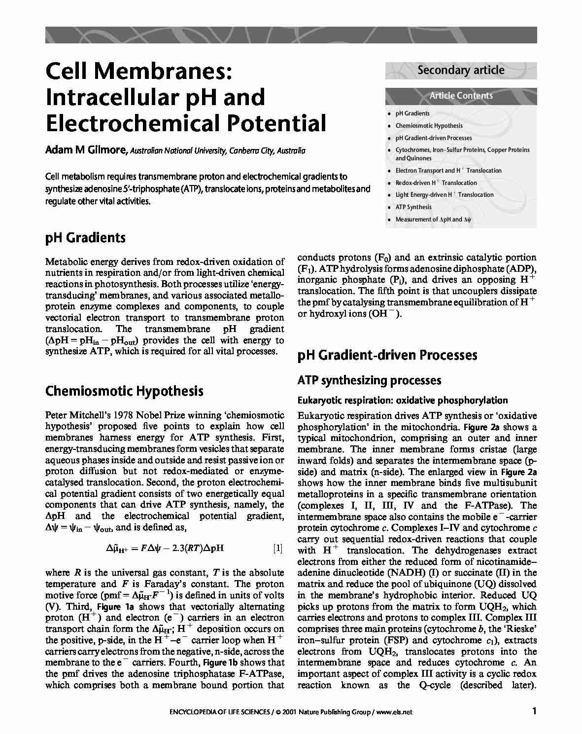 Cell membranes pH and electrochem potential-opracowanie - strona 1