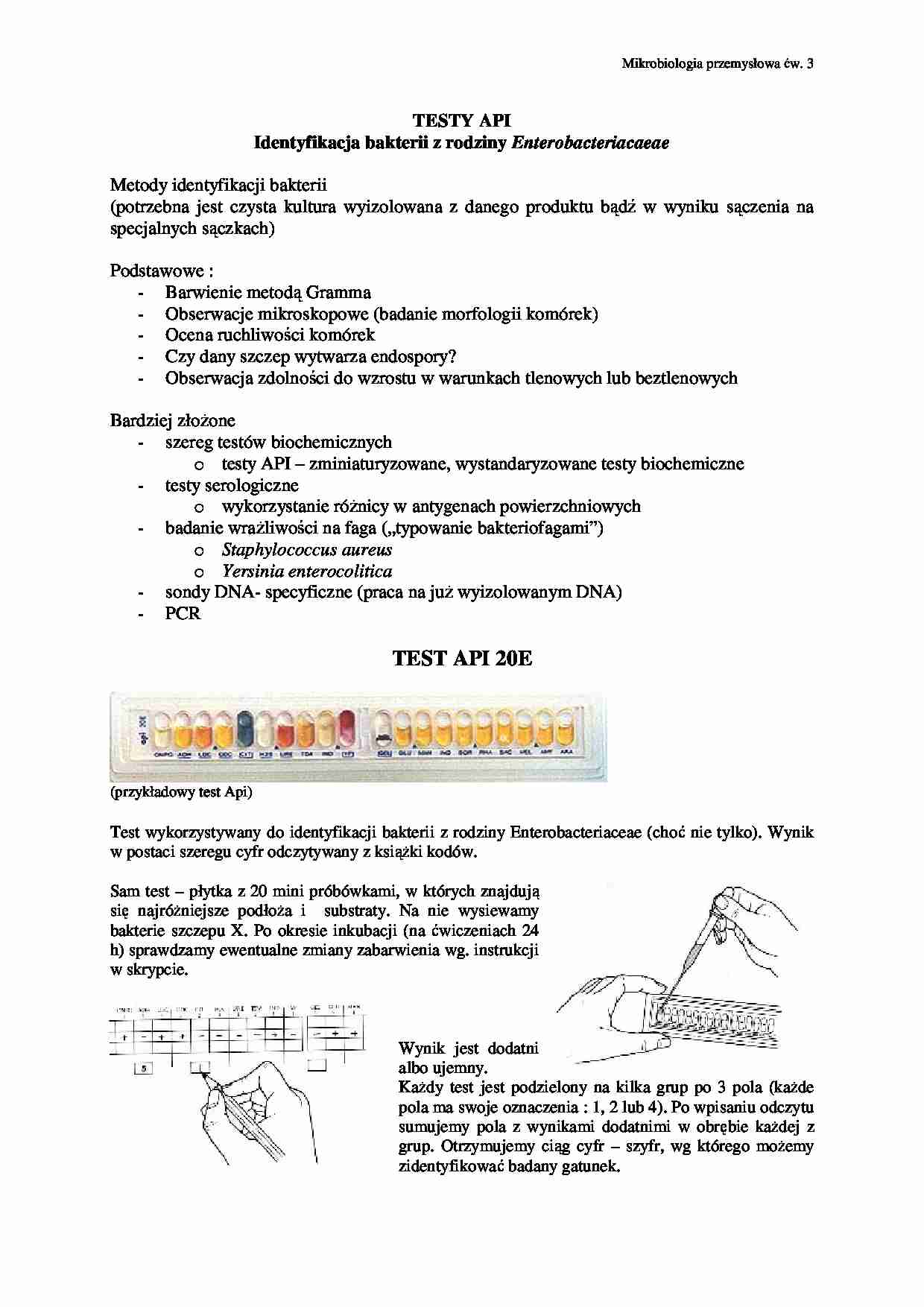 Identyfikacja bakterii z rodziny Enterobacteriacaeae-opracowanie - strona 1