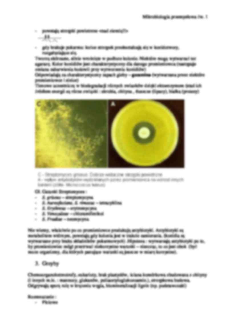 Mikrobiologia przemysłowa ćw. 1 - strona 2