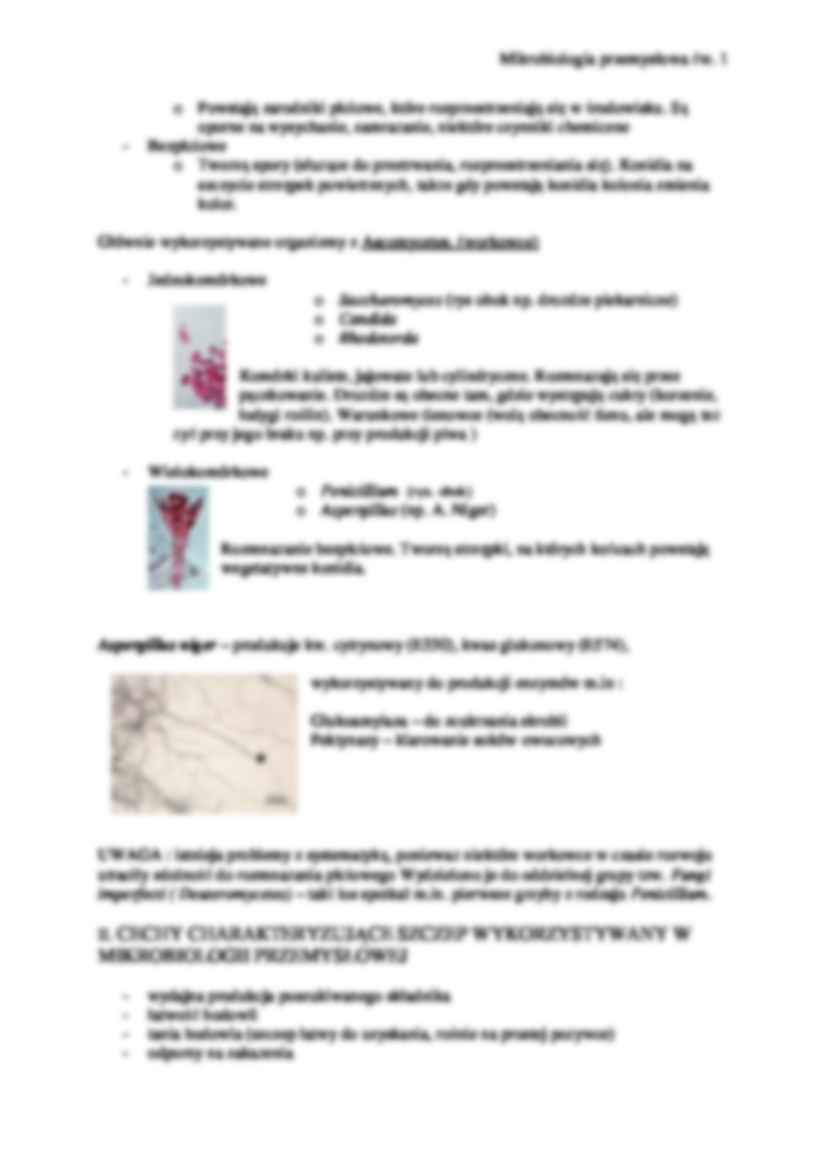 Mikrobiologia przemysłowa ćw. 1 - strona 3