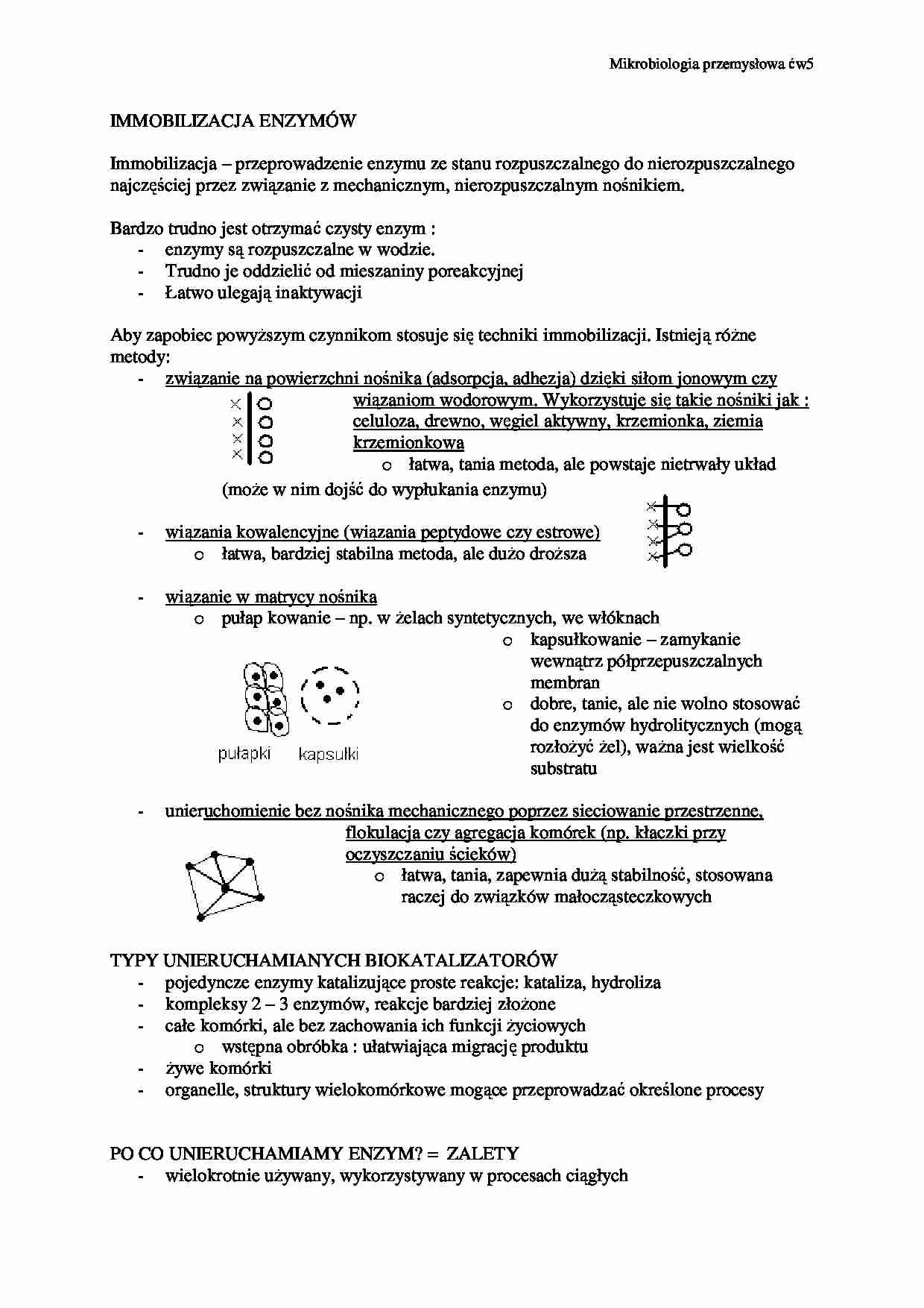 Immobilizacja enzymów-opracowanie - strona 1