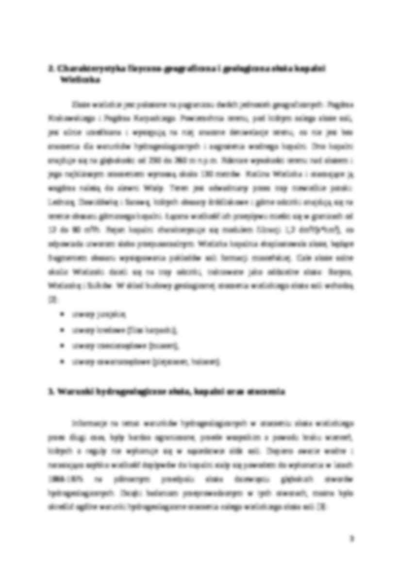 Hydrogeologiczne aspekty likwidacji kopalń - sprawozdanie - strona 3