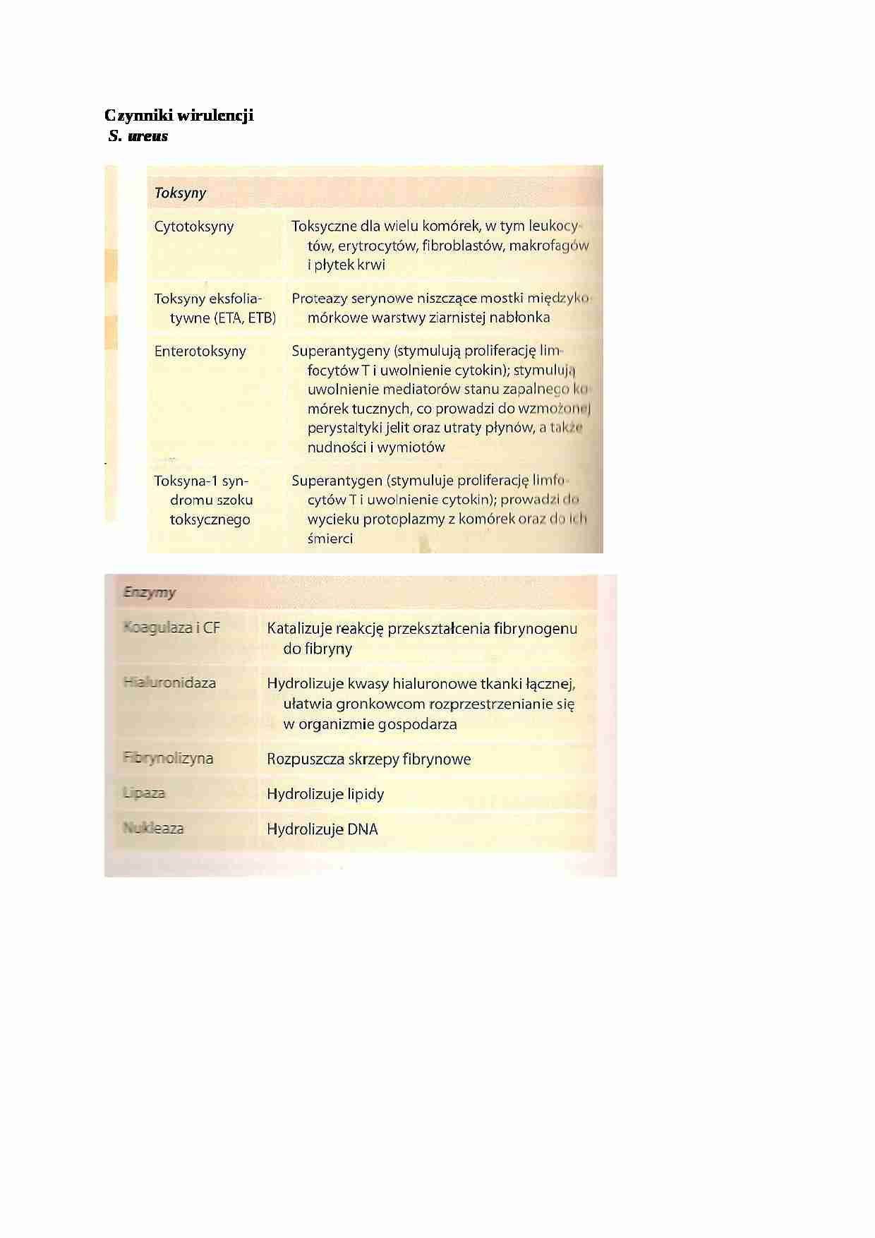 Czynniki wirulencji - omówienie - strona 1
