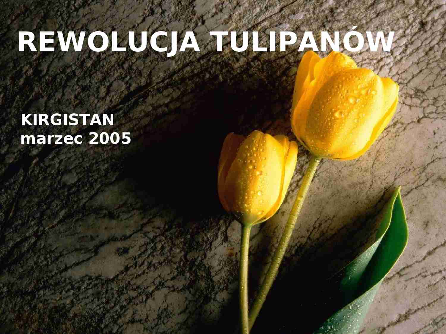 Rewolucja tulipanów-prezentacja - strona 1