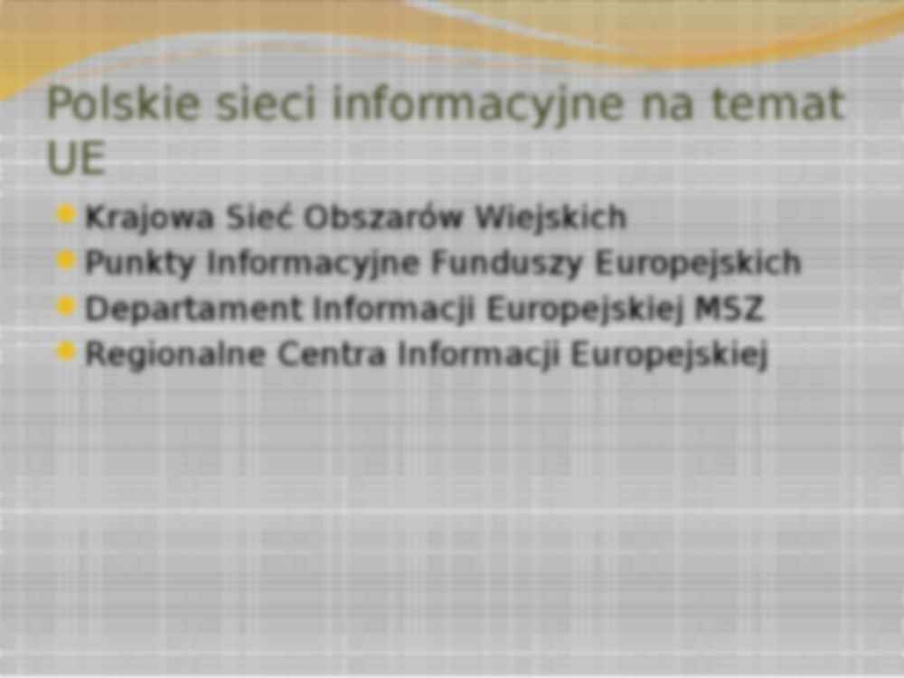 Polskie sieci informacyjne na temat Unii Europejskiej-prezentacja - strona 2