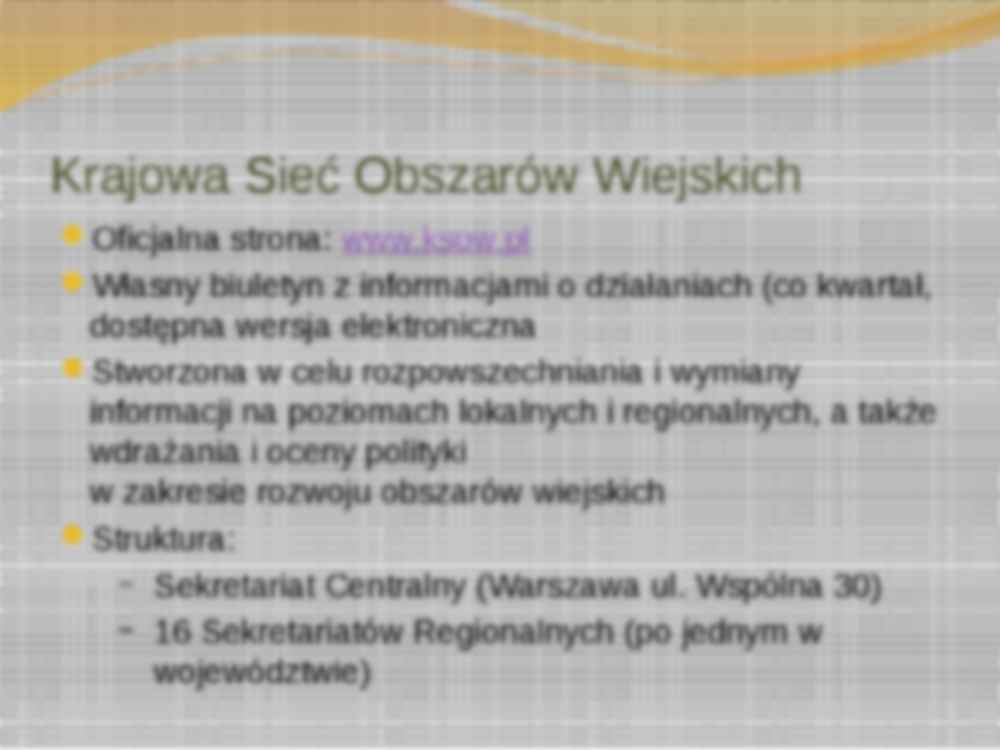 Polskie sieci informacyjne na temat Unii Europejskiej-prezentacja - strona 3