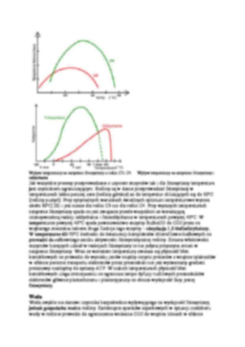 Czynniki wpływające na natężenie fotosyntezy-opracowanie - strona 3