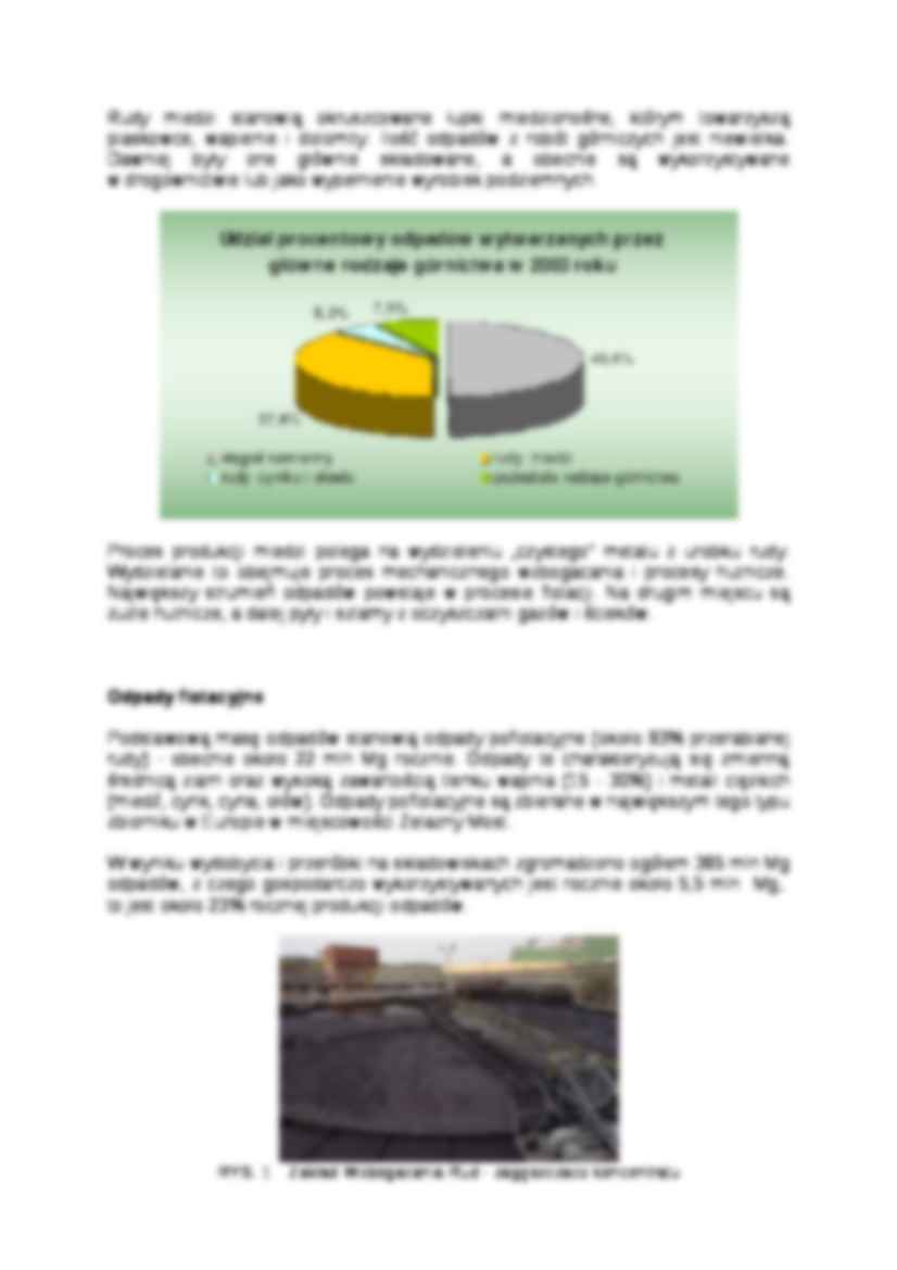 Odpady z górnictwa rud miedzi-opracowanie - strona 2