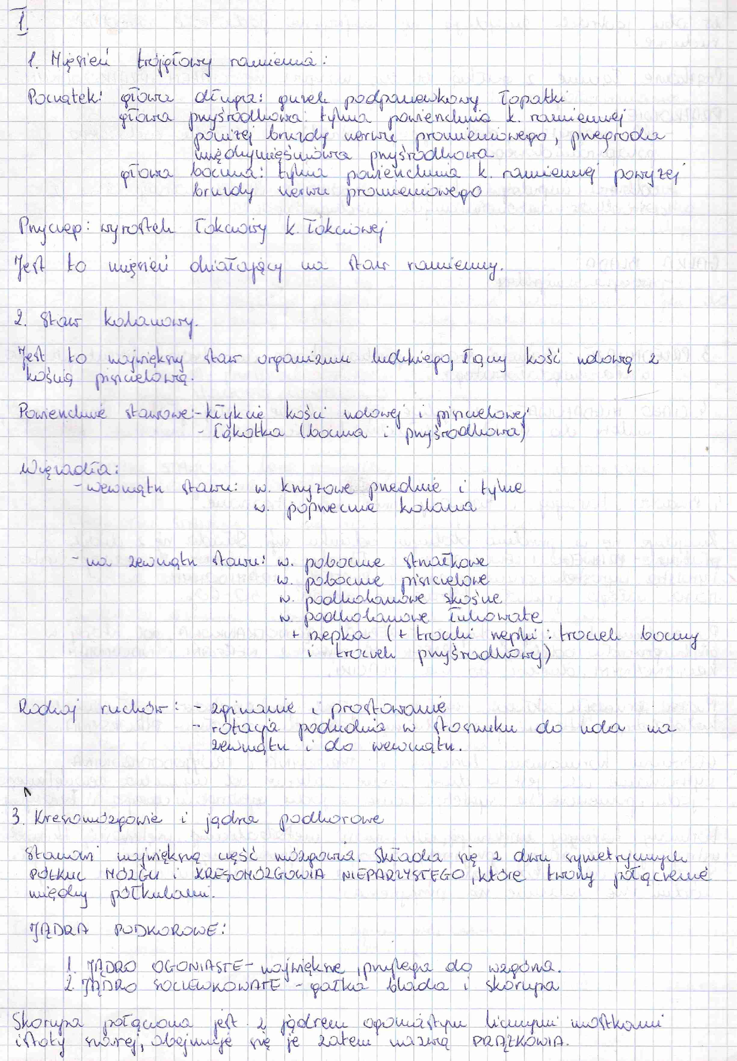 Anatomia zestaw 1 i 2  egzamin - strona 1